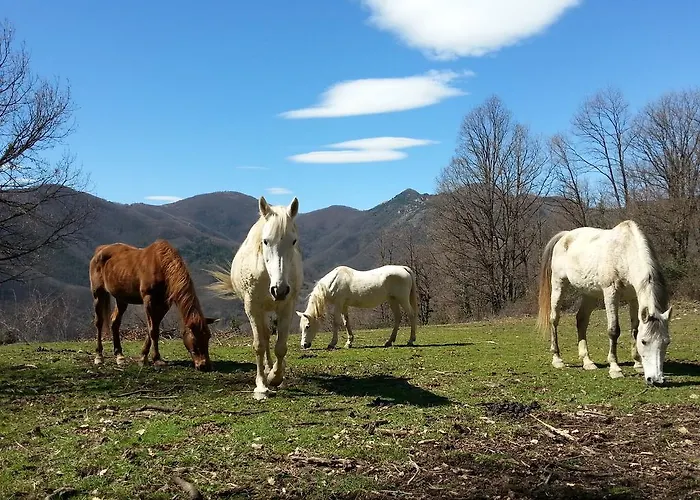 La Costa De Country house *