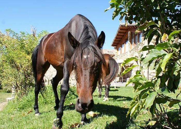 Country house La Costa De Mollo
