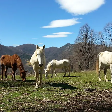La Costa De Country house *
