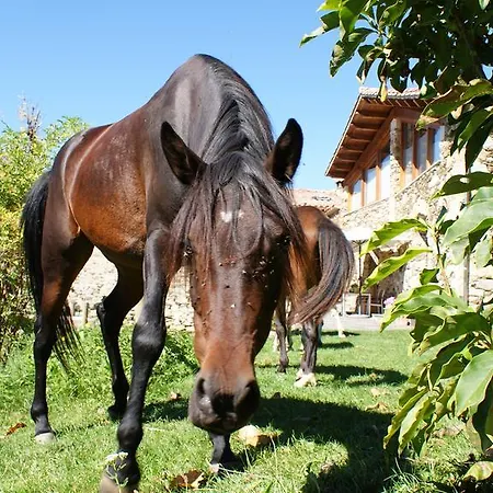 Country house La Costa De Mollo