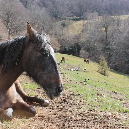 Country house La Costa De *